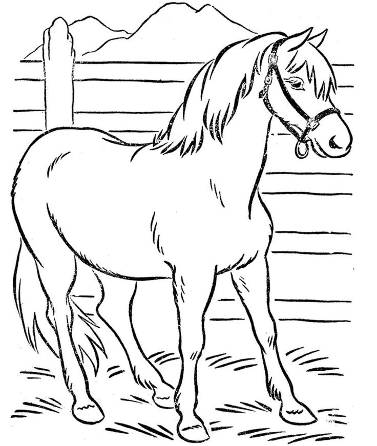 Cool horse coloring pages pdf printable