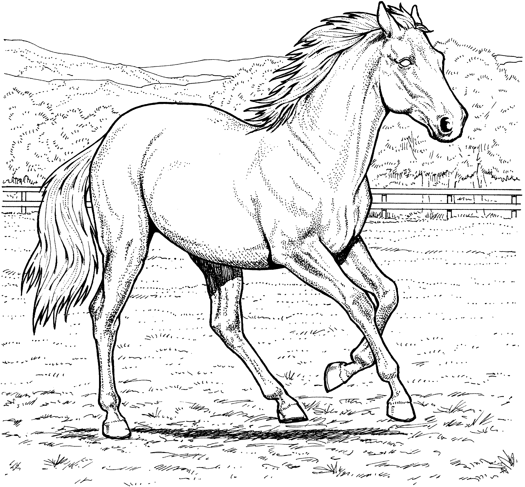 Free printable horse coloring pages for kids