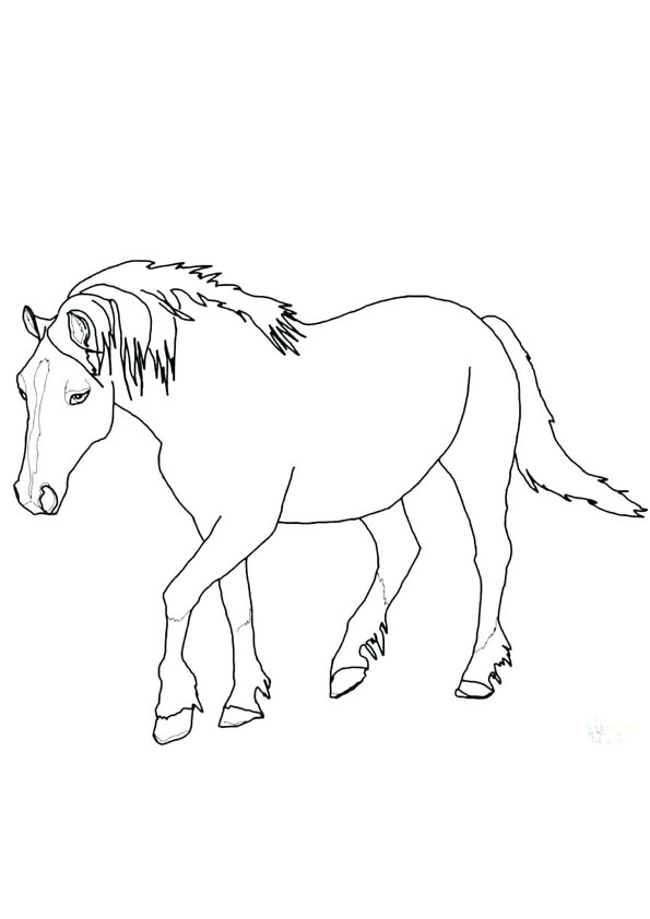 Coloring pages printable horse coloring page