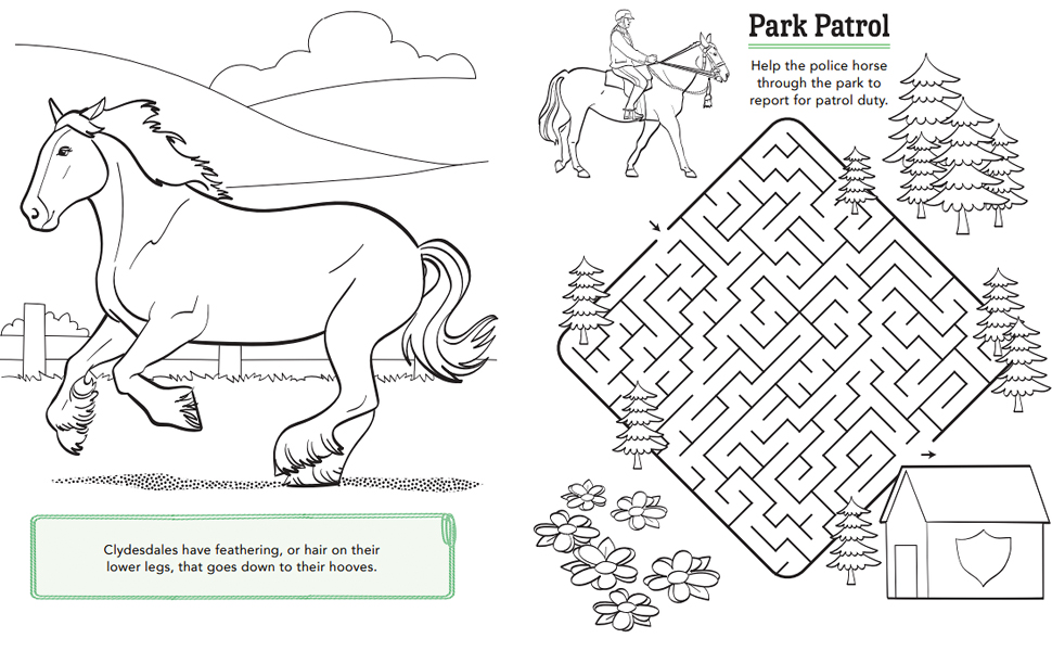Horses a coloring and activity book for kids with word searches dot