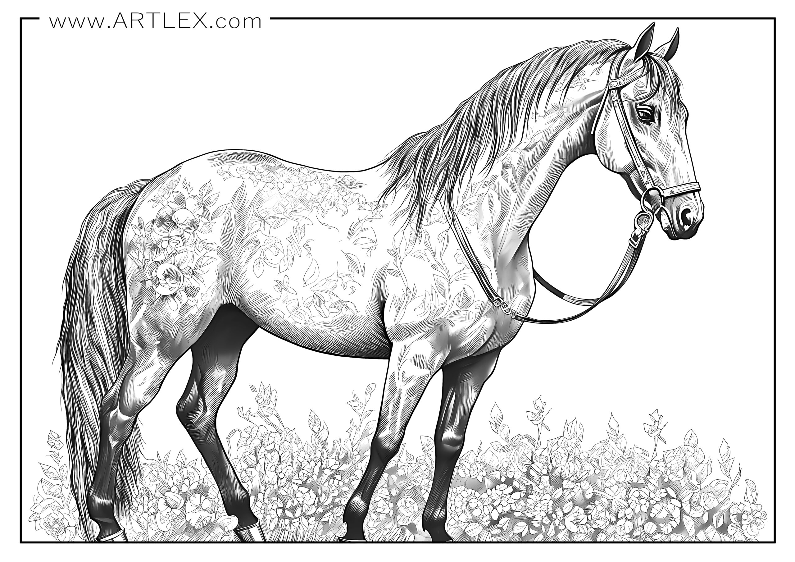 Best horses coloring pages free printable â