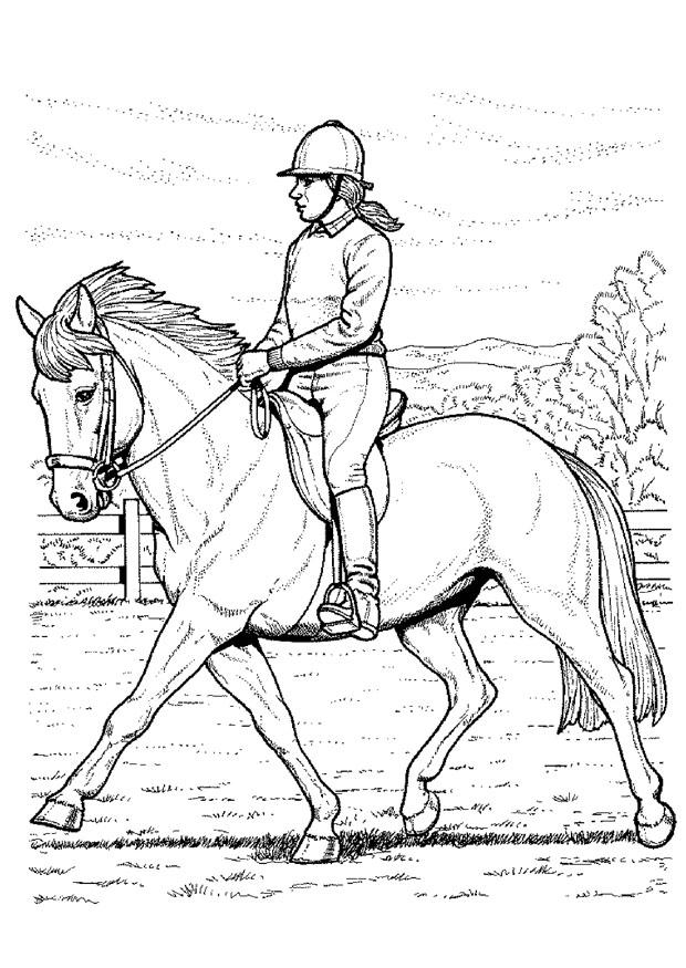 Coloring page horse