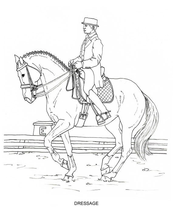 Printable set of english riding coloring pages digital download