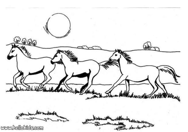 Galloping horses coloring page cute and amazing farm animals coloring page for kids moreâ horse coloring books horse coloring pages farm animal coloring pages