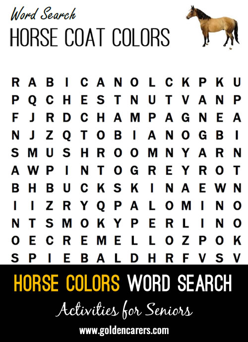Horse colours word search