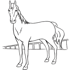 Top free printable horse coloring pages online