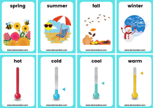 Seasons flashcards