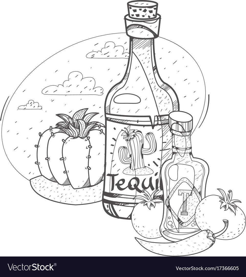 Tomato ketchup and tequila hot sauce coloring vector image