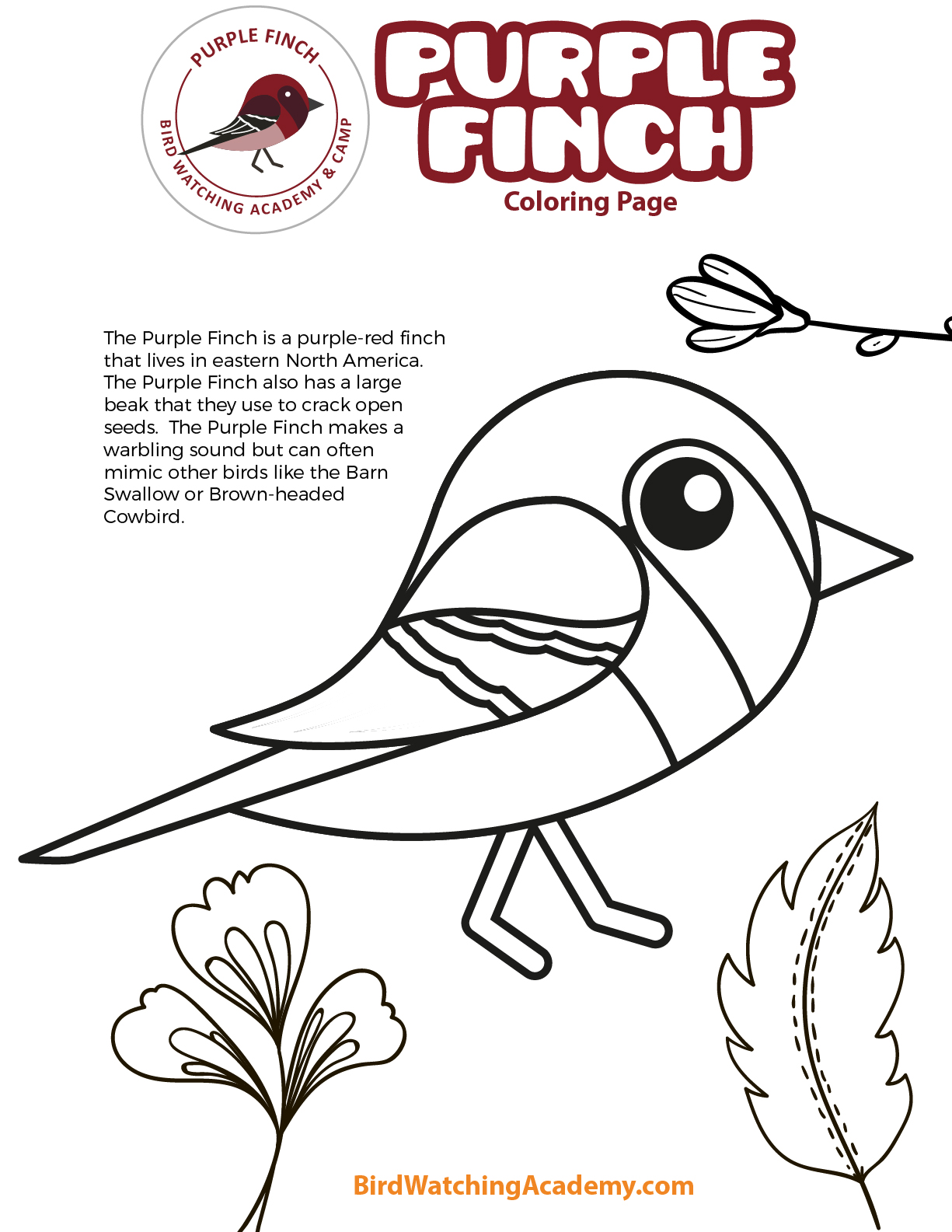 Purple finch coloring page