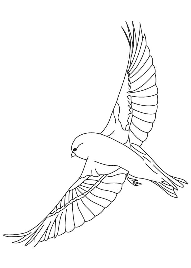 Finches flying coloring page download free finches flying coloring page for kids best coloring pages