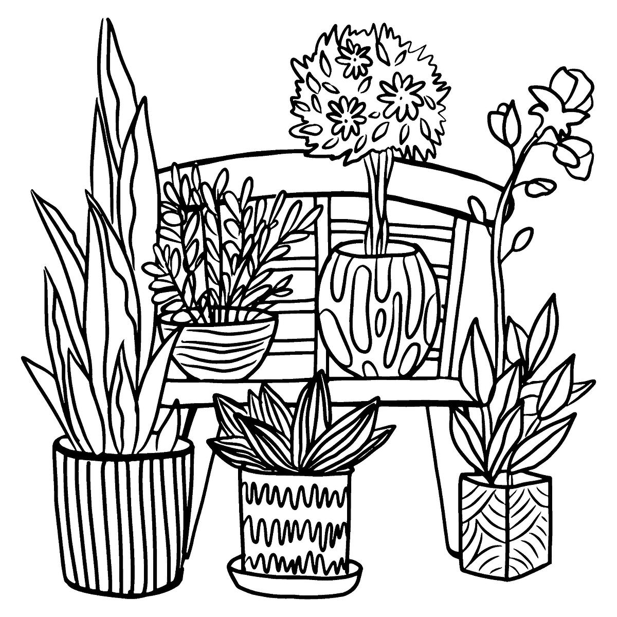 Houseplants coloring pages free printable coloring pages of plants for plant lovers printables mom