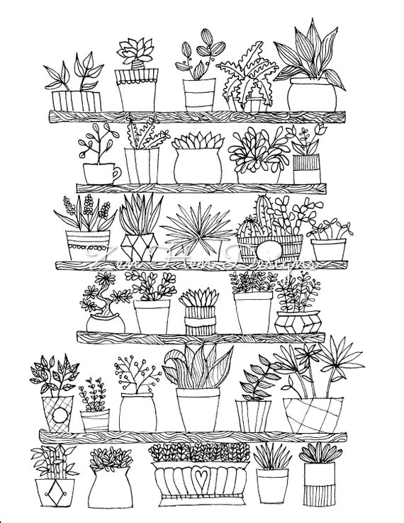 Houseplant coloring page printable line drawing doodle art