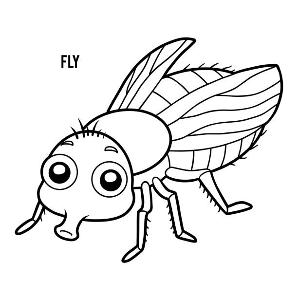 Coloring book fly stock illustration