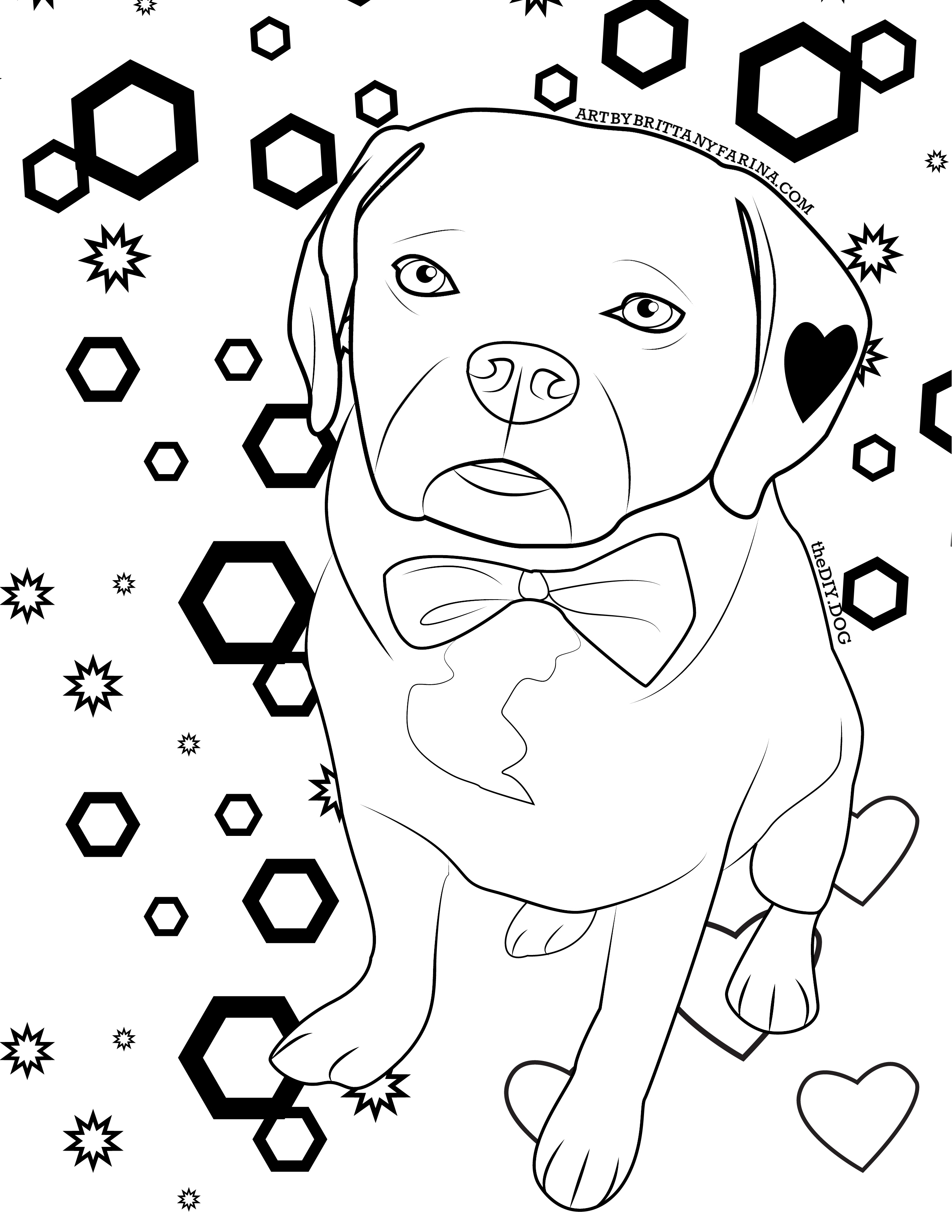 How to turn your dog into a coloring page