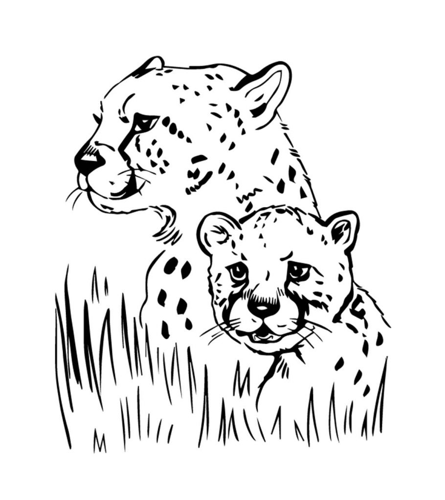 Best free printable jaguar coloring pages online