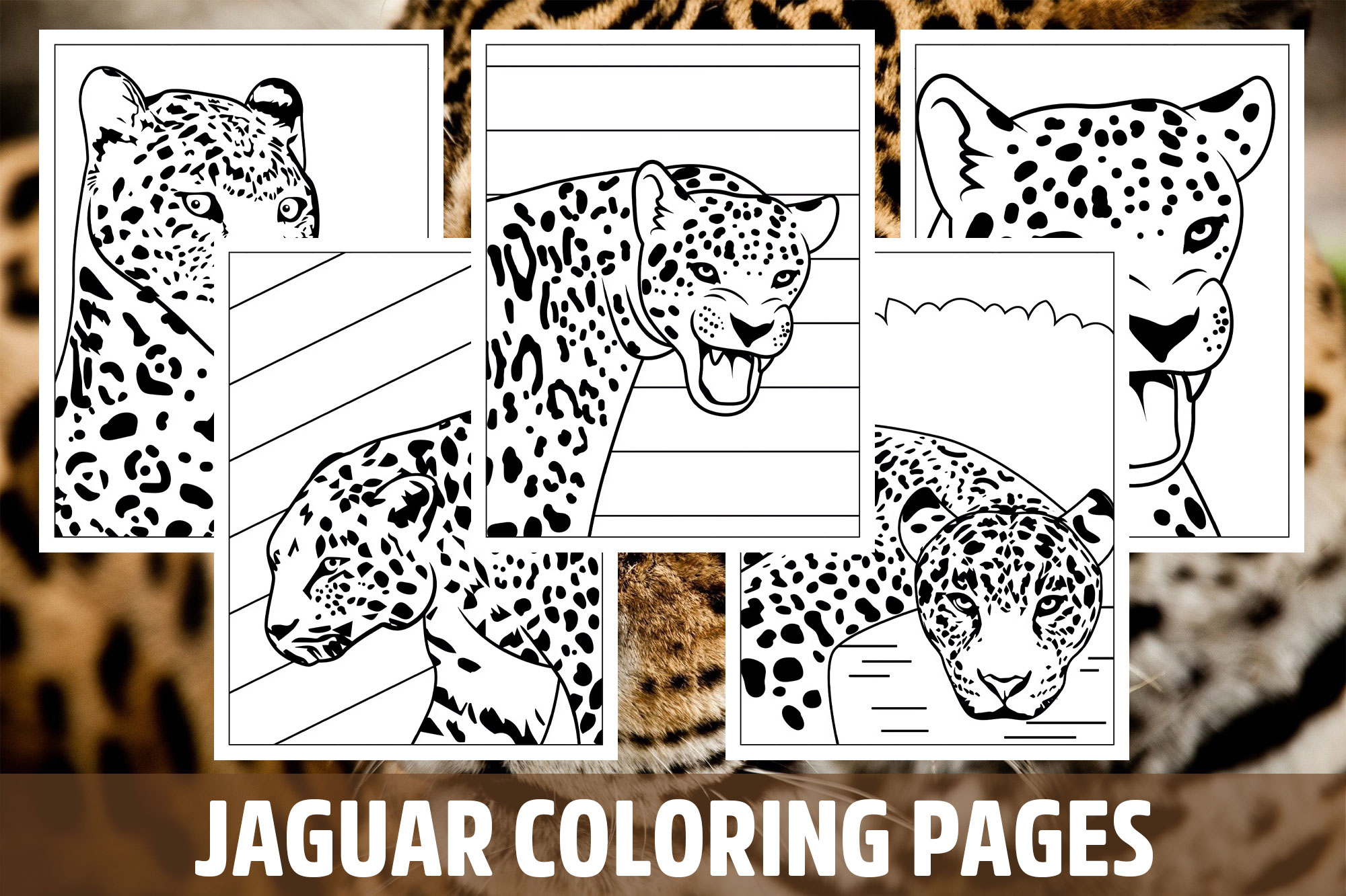 Jaguar coloring pages for kids girls boys teens birthday school activity made by teachers