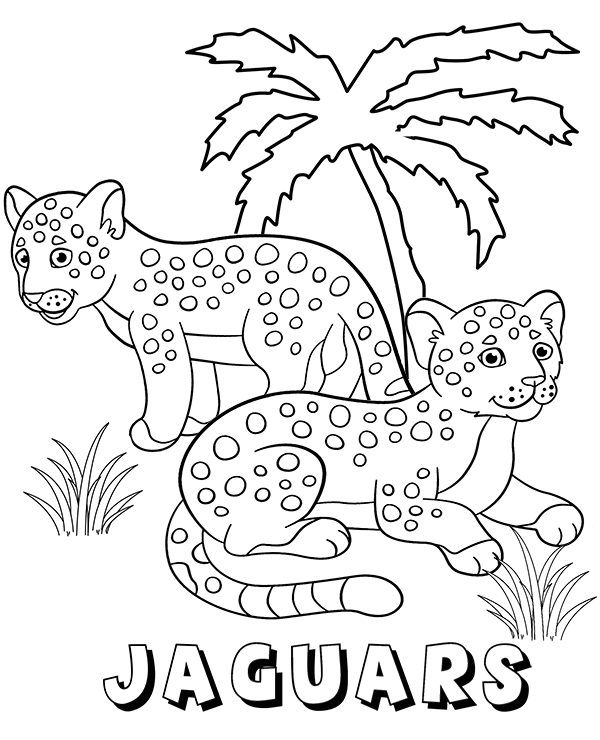 Jaguar coloring pages