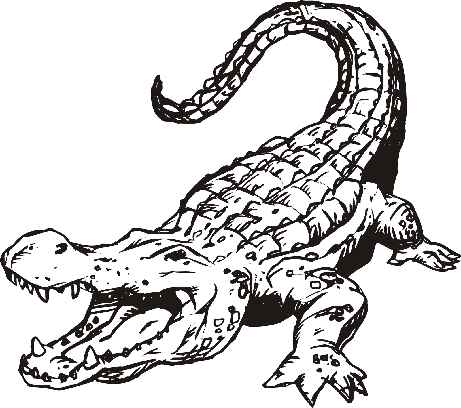 Gator head in color our products mascot clipart