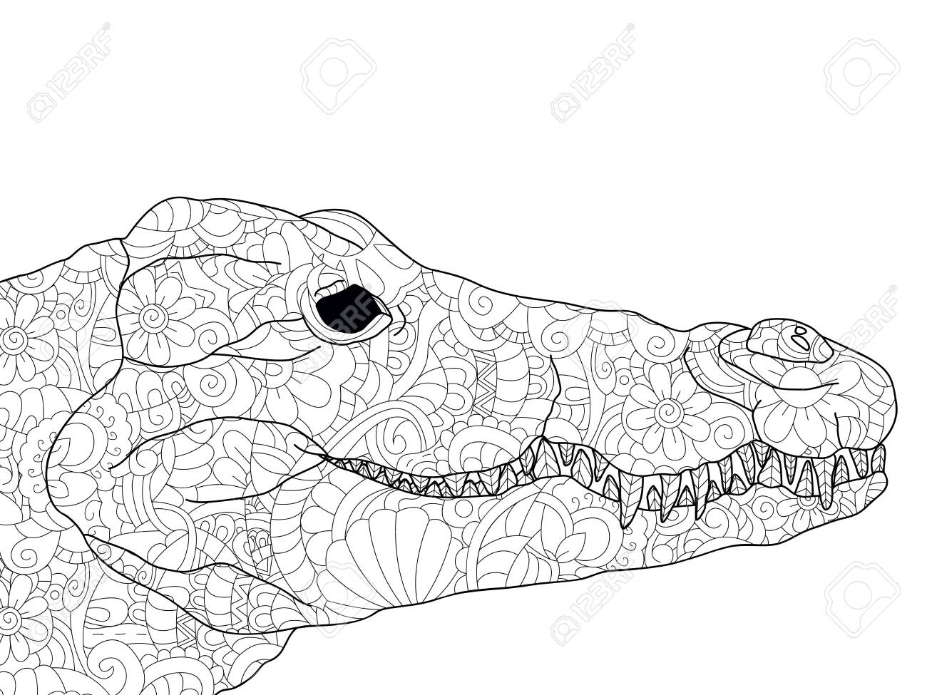 Crocodile head coloring antistress drawings black lines and white background nature flowers raster stock photo picture and royalty free image image