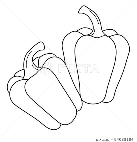 Bell pepper fruit isolated coloring page for kids