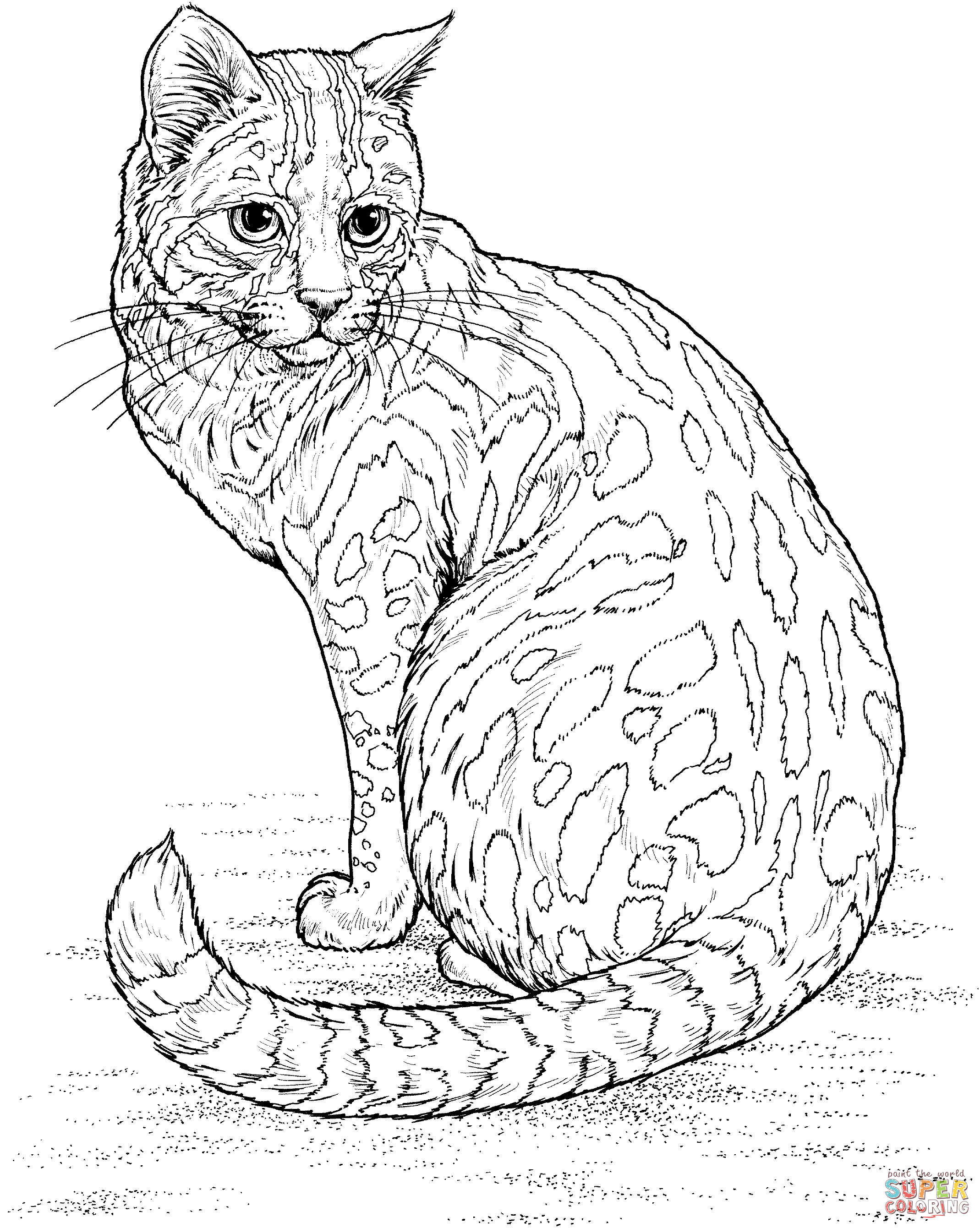 Leopard cat coloring page free printable coloring pages