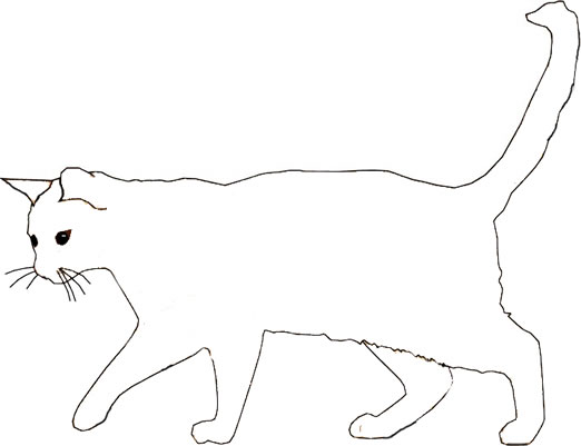 Wild cat colouring page