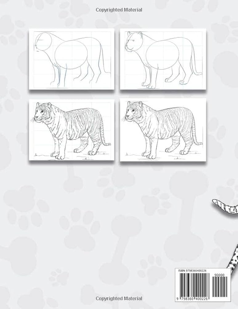 How to draw wild cats big cat drawing book to learn how to draw big cats and how to draw wild catscats sketch book for how to draw wild animals meho mr