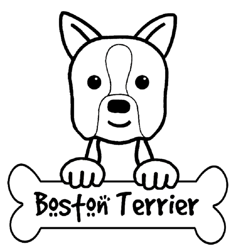 Boston terrier dog coloring pages dog coloring page super coloring pages coloring pages