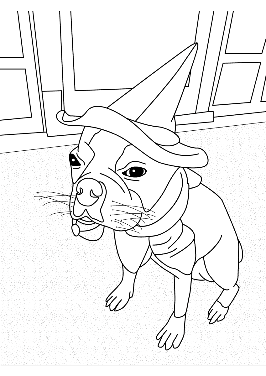 Boston terrier coloring pages