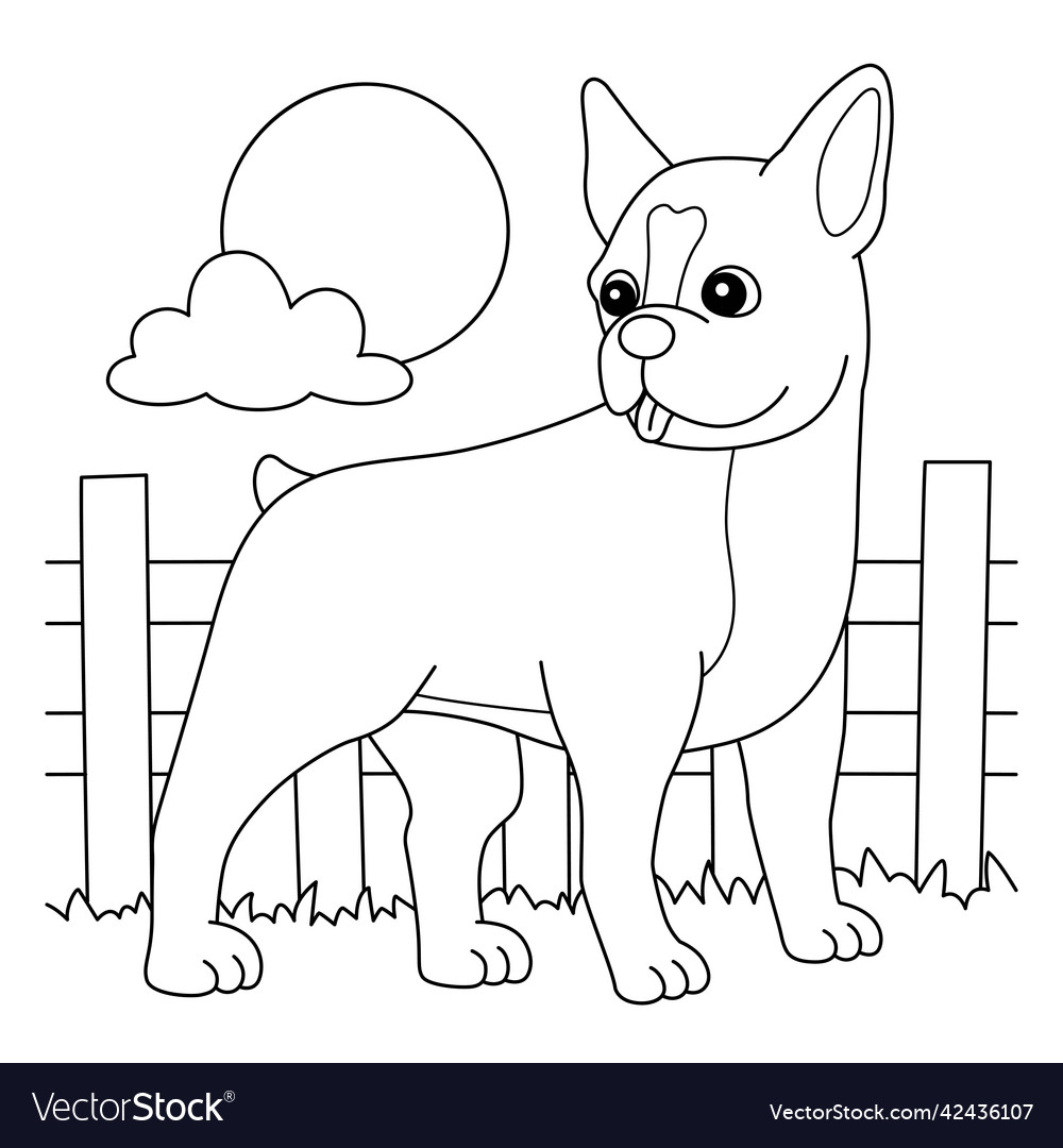 Boston terrier dog coloring page for kids vector image