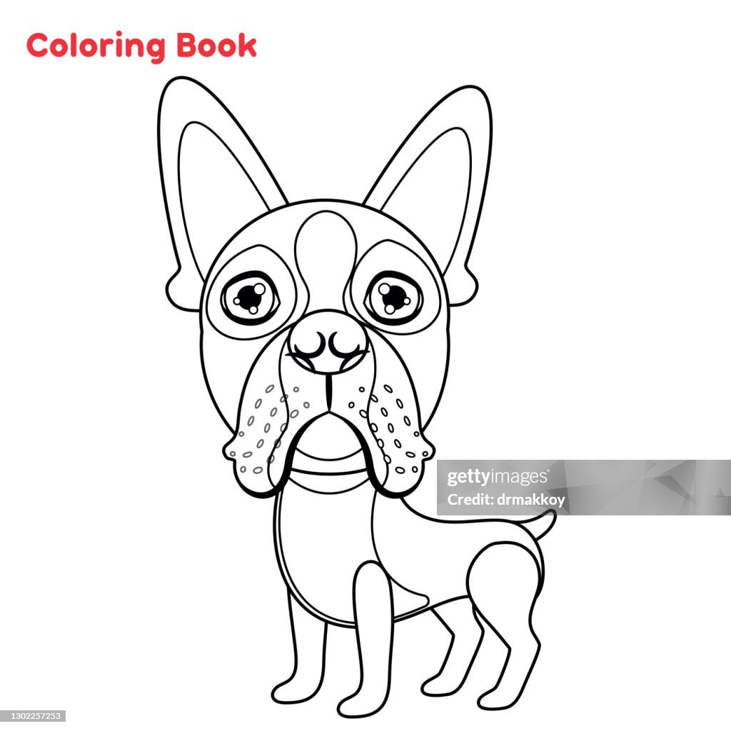 Cute boston terrier loring book high