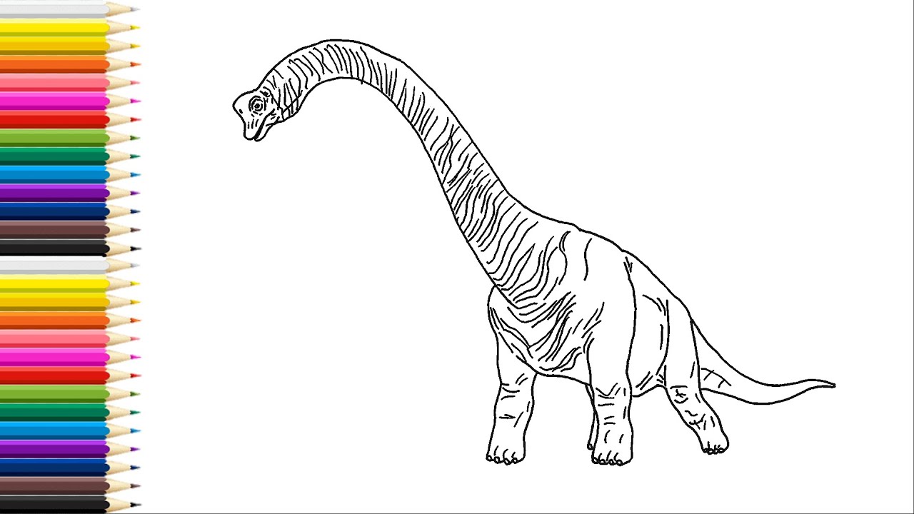 How to draw brachiosaurus easy drawing and coloring dinosaurus