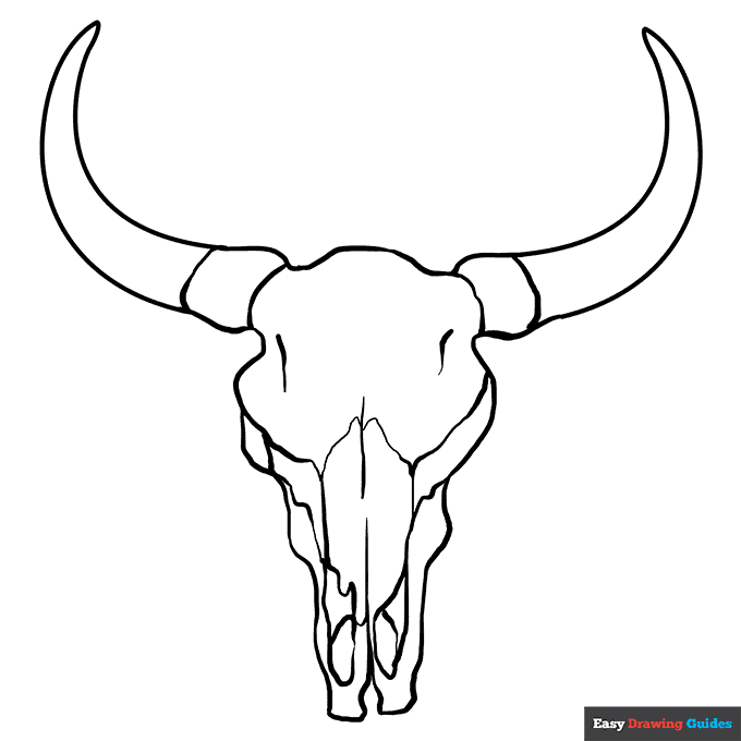 Bull skull coloring page easy drawing guides