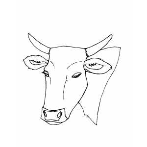 Calm bull head coloring page