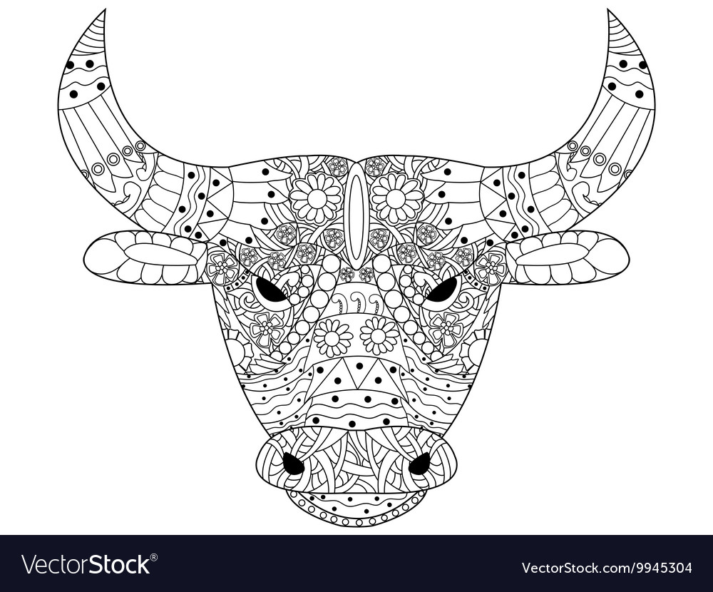 Head bull coloring for adults royalty free vector image