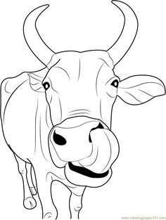 Cow coloring pages