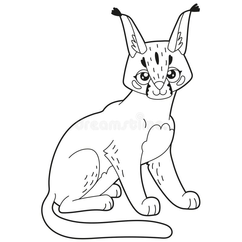 Simple children s coloring book cute desert animal character caracal stock vector