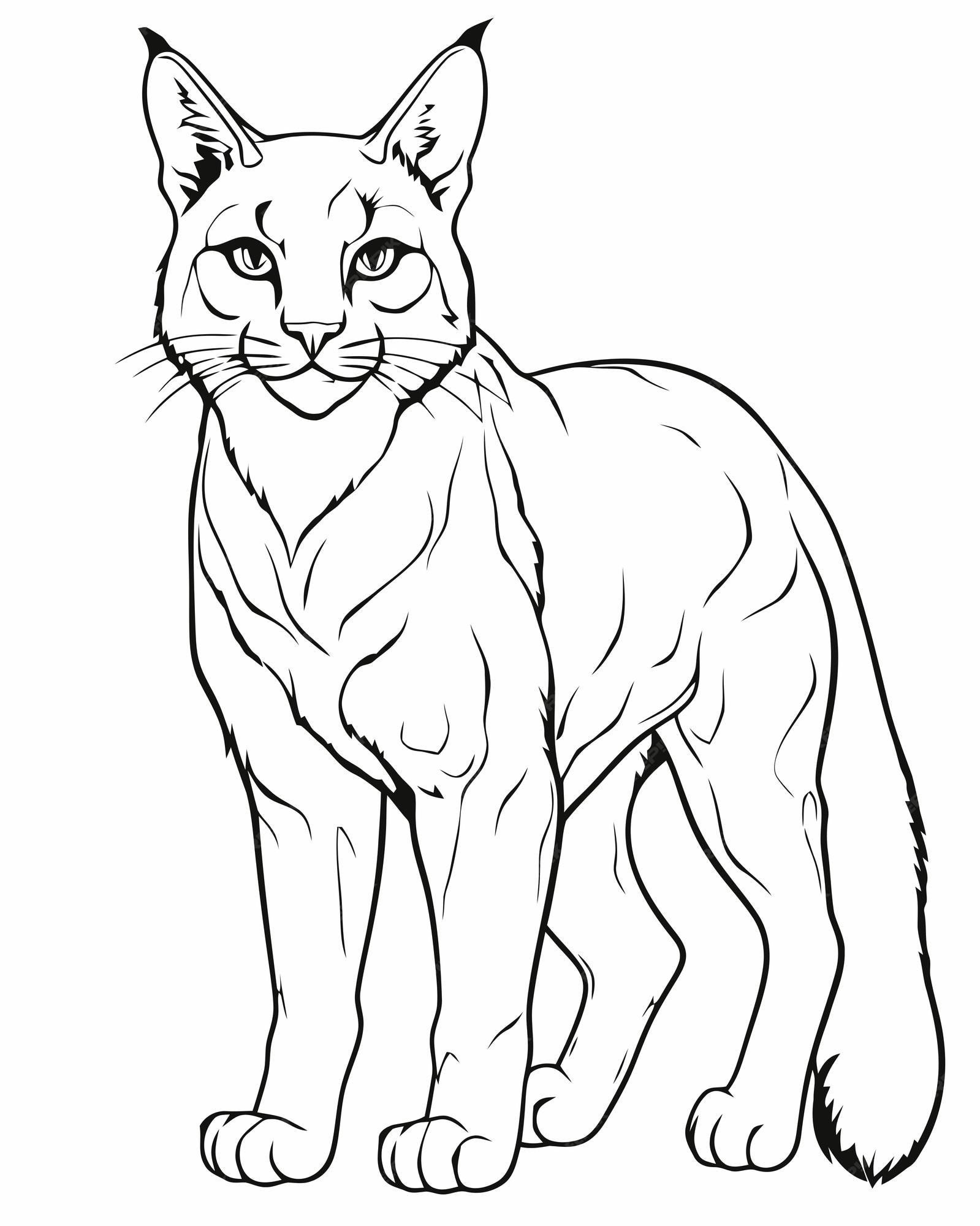 Premium vector african golden cat coloring page