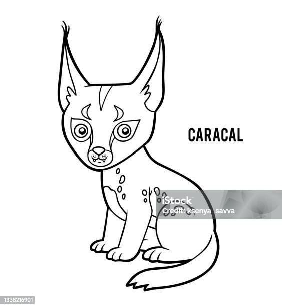 Coloring book for kids caracal stock illustration
