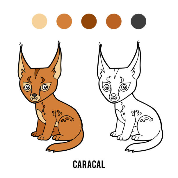 Coloring book for kids caracal stock illustration