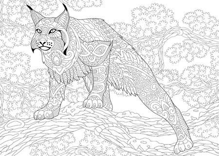 Stylized cartoon hunting wildcat lynx american bobcat caracal ready to attack sketch for adult antistress coloring book page with doodle floral design elements ù ùùø øªøµù ùù ù
