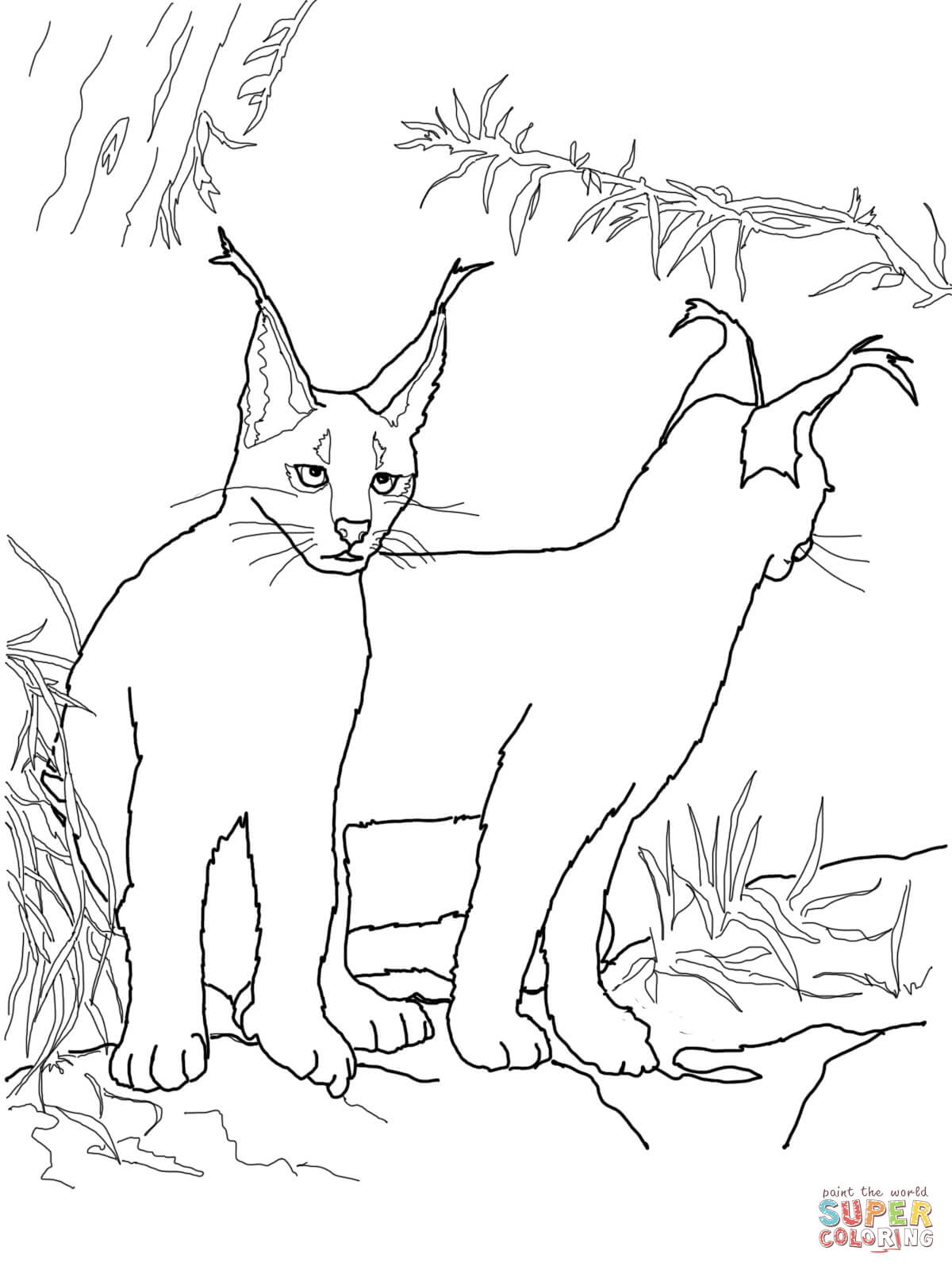 Caracal kittens coloring page free printable coloring pages