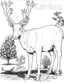 Holidaywinter animal coloring sheet