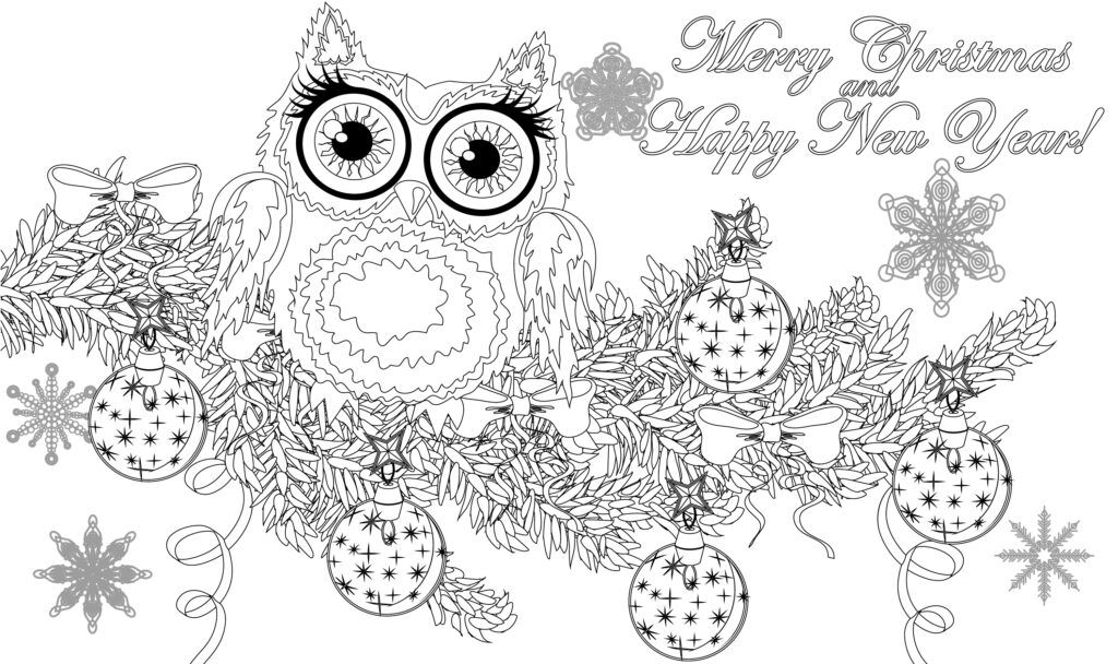 Owl i want for christmas