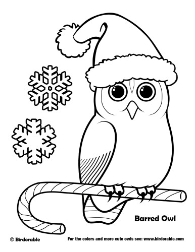 Christmas barred owl coloring page by