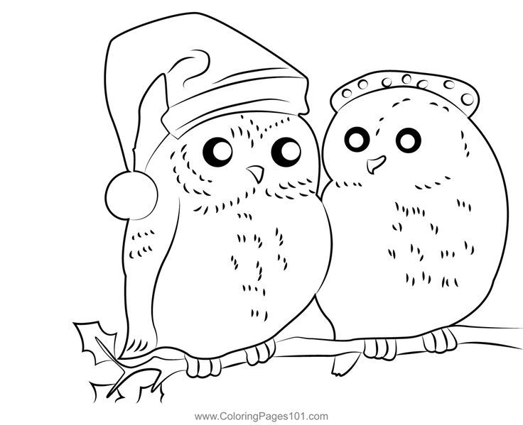 Christmas owls coloring page owl coloring pages christmas animals christmas owls