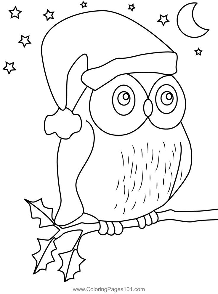 Christmas owl coloring page owl coloring pages christmas animals coloring pages for kids