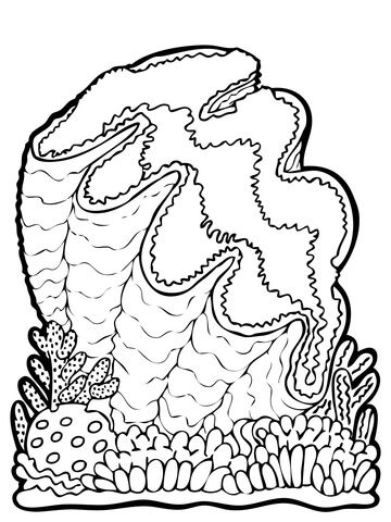 Giant clam coloring page free printable coloring pages detailed coloring pages coloring pages giant clam