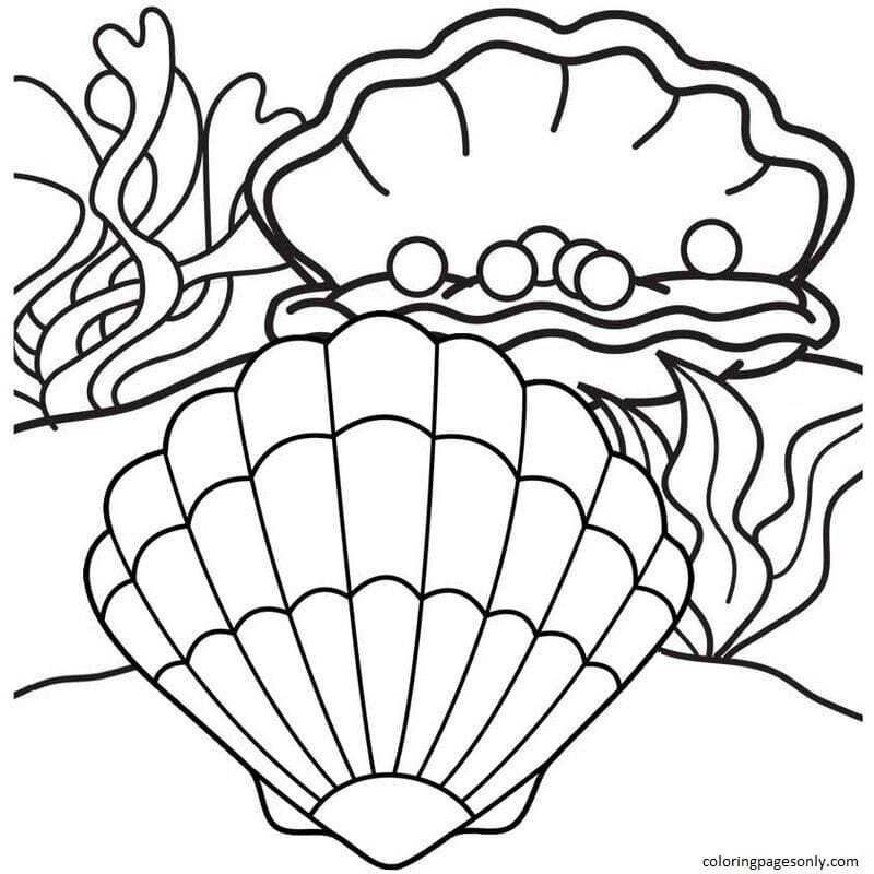 Clam coloring pages printable for free download