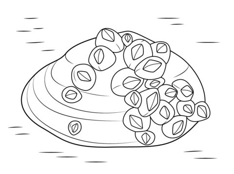 Barnacles on soft shell clam coloring page free printable coloring pages coloring pages free printable coloring pages free coloring pages